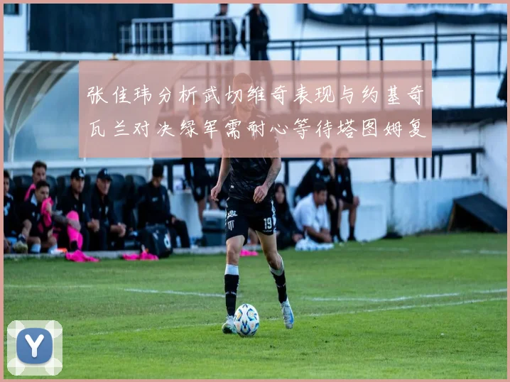 张佳玮分析武切维奇表现与约基奇瓦兰对决绿军需耐心等待塔图姆复出